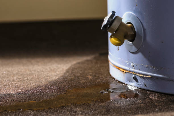 Trusted North Royalton, OH Water damage restoration Experts