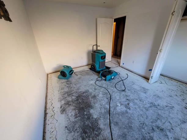 Best Commercial water damage restoration  in North Royalton, OH